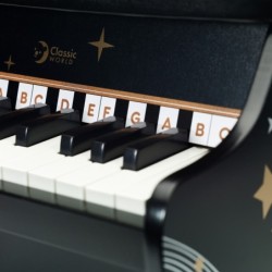 CLASSIC WORLD Piano Musta piano